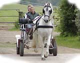 Fahren eines Einsp�nners