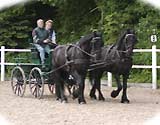 Fahrtraining auf dem Platz